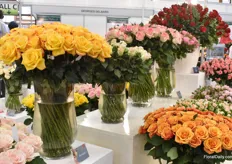 The roses from De Ruiter Innovations.